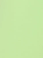 lime Tailored Shorts
