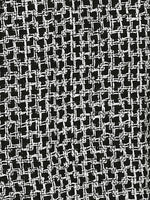 Banded Sea Snake - Joe Bananas | Australia