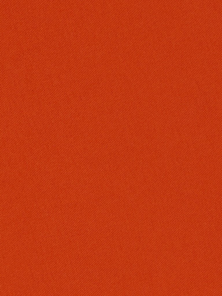 Burnt Orange Chinos - Joe Bananas | Australia