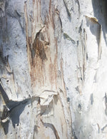 Charcoal Paperbark Jacket