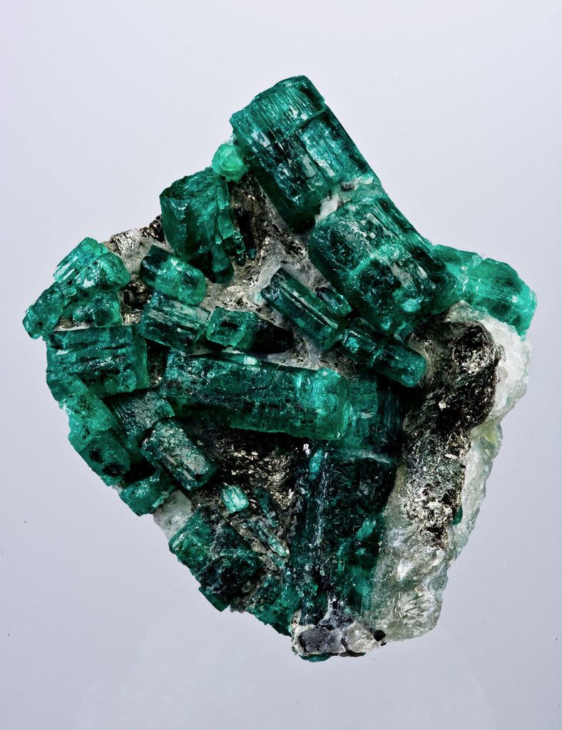 Emerald Paperbark Jacket