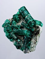 Emerald Paperbark Jacket