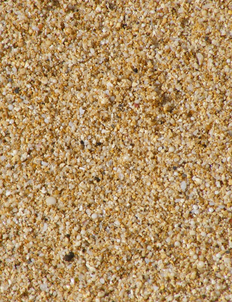 Shelly Beach Sand Jacket - Joe Bananas | Australia