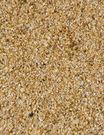 Shelly Beach Sand Jacket - Joe Bananas | Australia