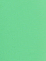 Spearmint Chinos - Joe Bananas | Australia