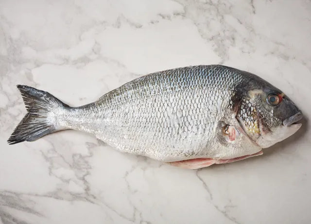 The Bream Jacket
