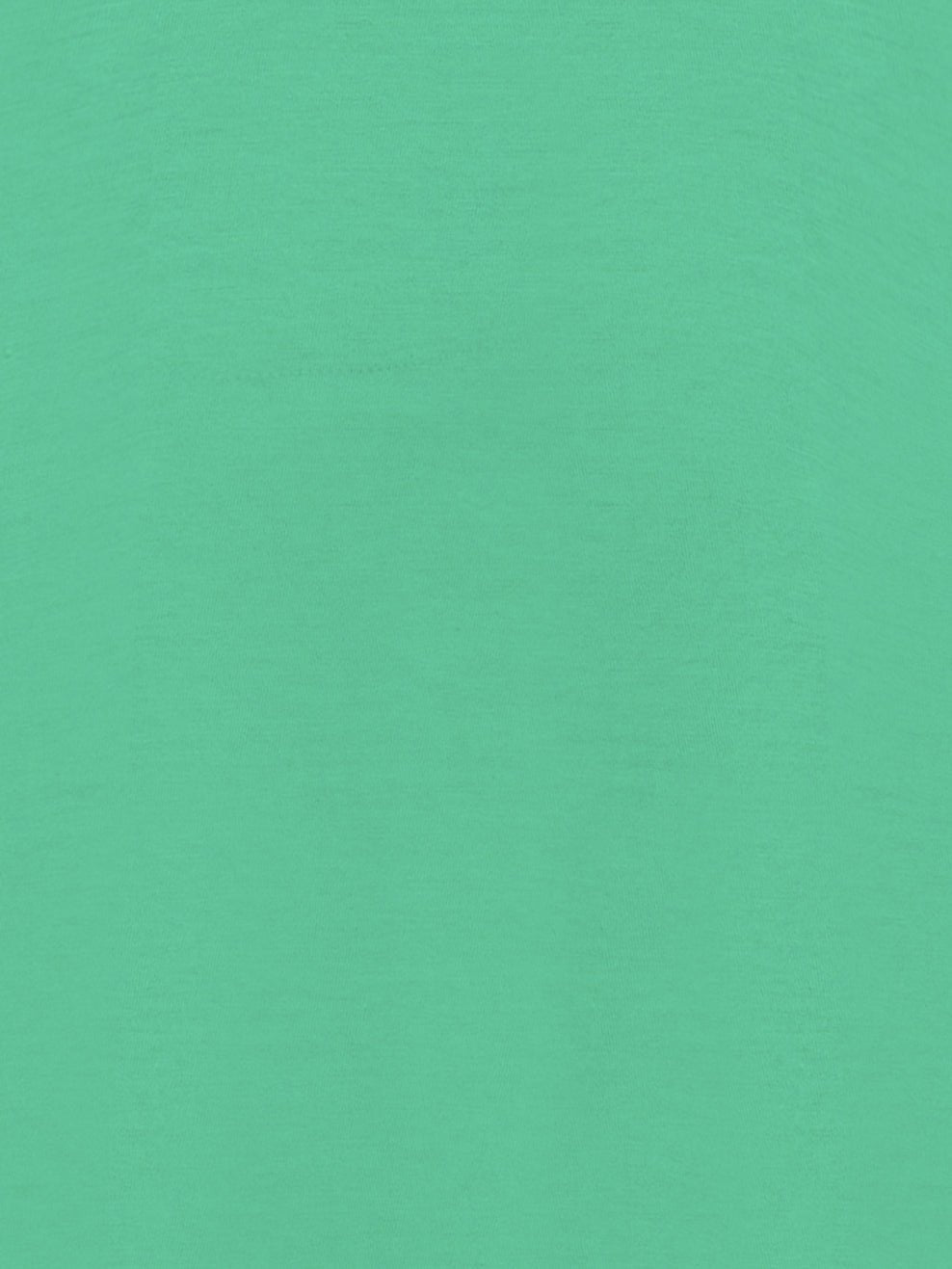 The Don Spearmint T-shirt - Joe Bananas | Australia