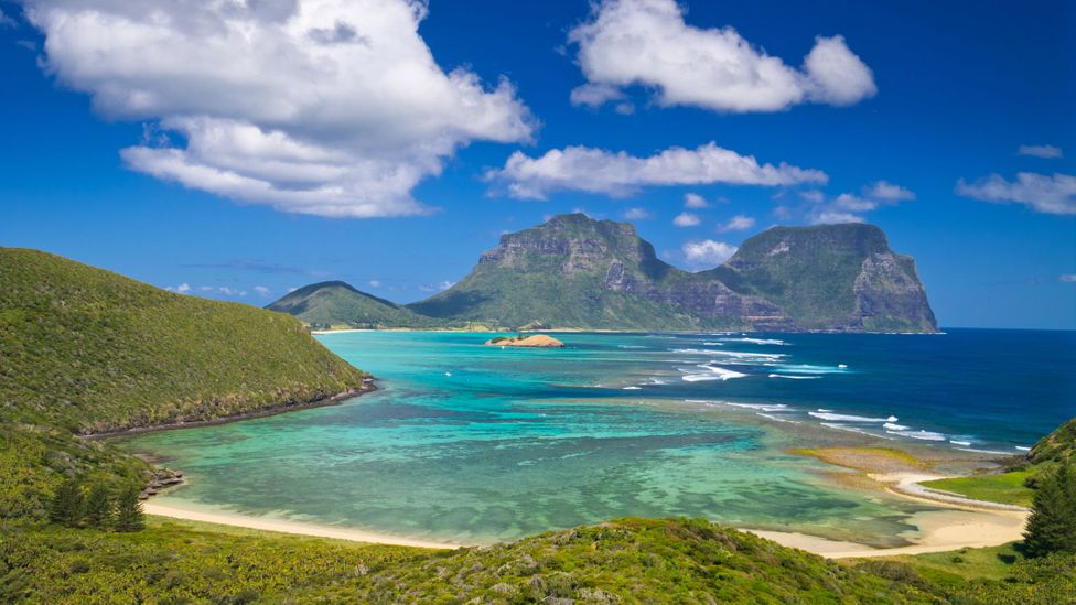 Lord Howe Lagoon Jacket - Joe Bananas | Australia