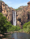 Kakadu - Joe Bananas | Australia