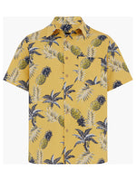 b ANANAS