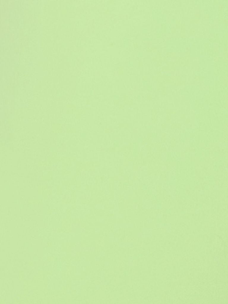 lime Tailored Shorts