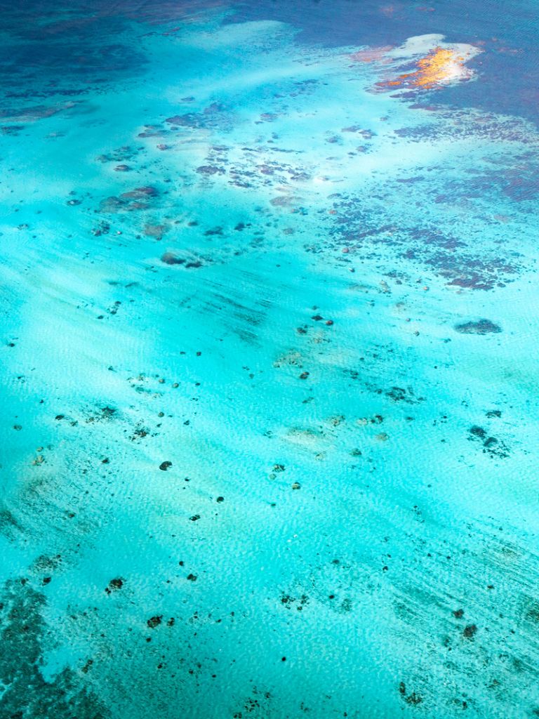 Ningaloo Reef Jacket