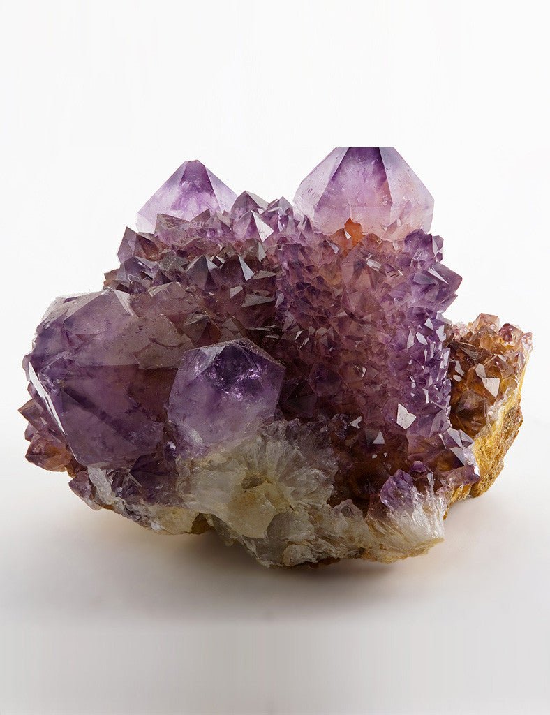 Amethyst Boucle - Joe Bananas | Australia