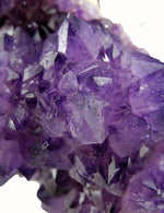 Amethyst Boucle - Joe Bananas | Australia