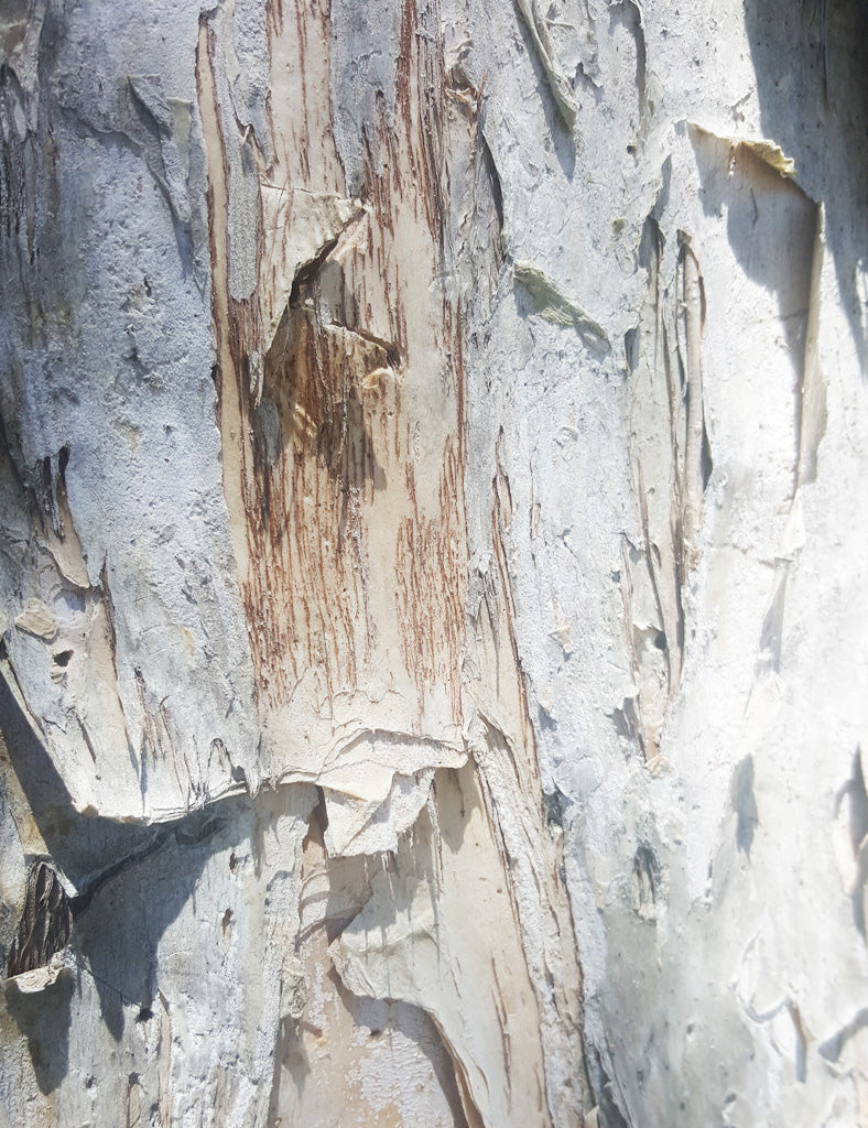 Charcoal Paperbark Jacket