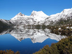 Cradle Mountain Ice Jacket - Joe Bananas | Australia