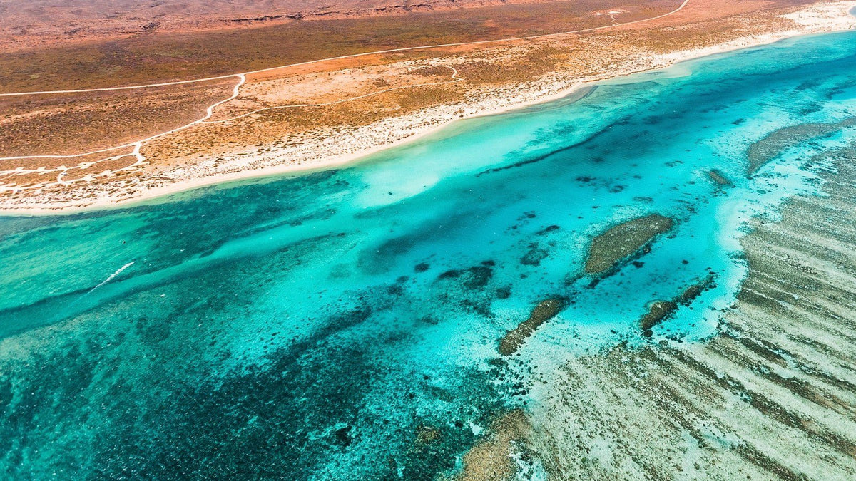 Ningaloo Reef Jacket - Joe Bananas | Australia