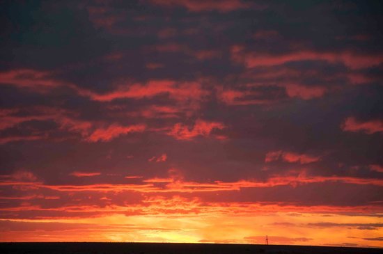 Nullarbor Dusk - Joe Bananas | Australia