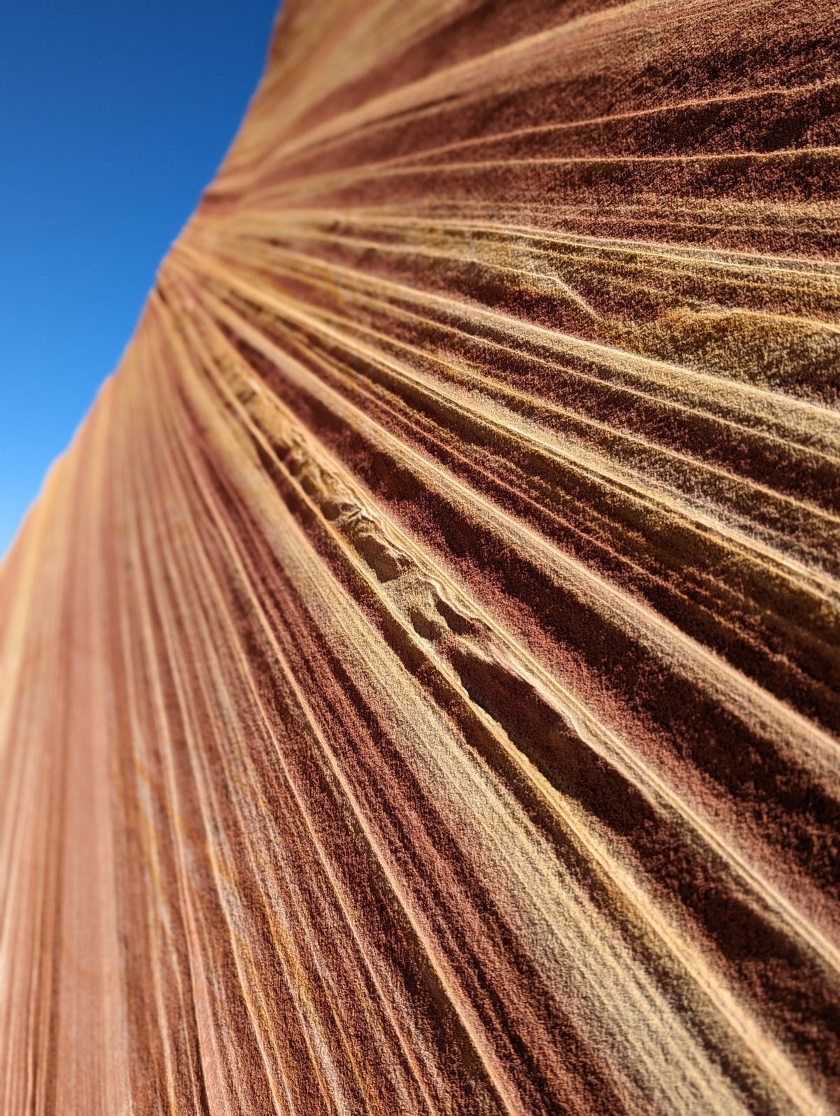 Sandstone Strata Jacket - Joe Bananas | Australia