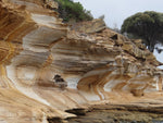 Tasman Sandstone Jacket - Joe Bananas | Australia