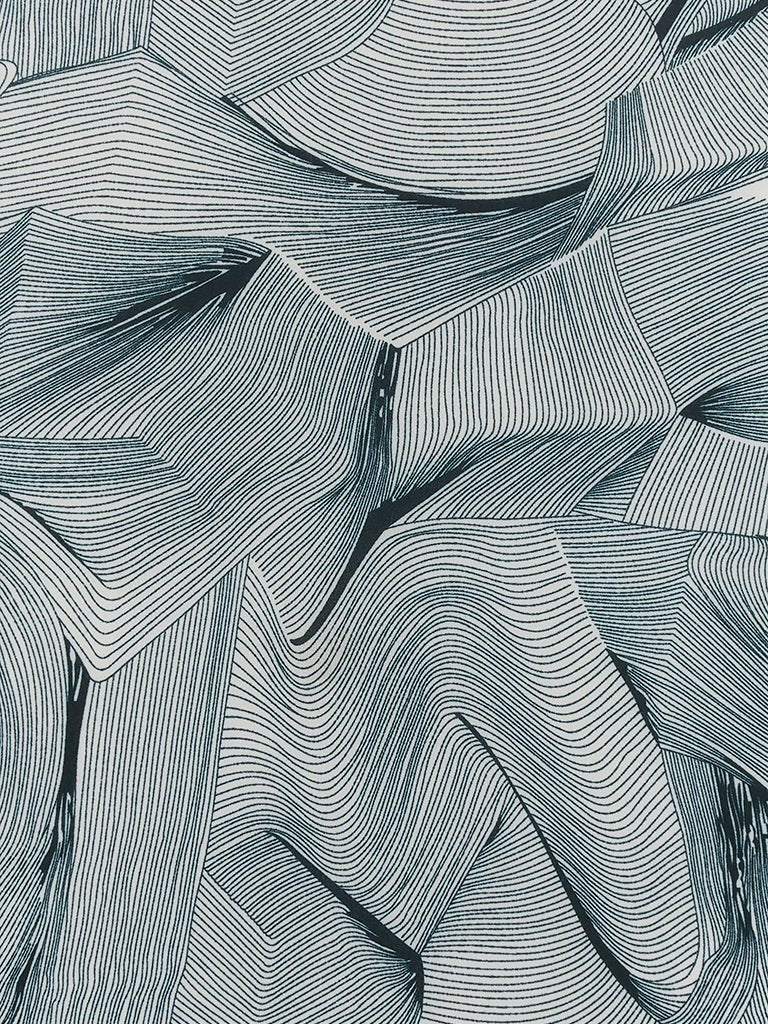 Topographic - Joe Bananas | Australia