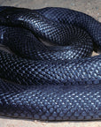 Blue Bellied Black Snake Jacket