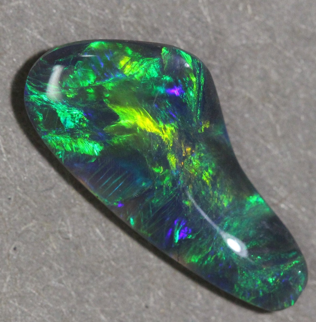 Boulder Opal Jacket - Joe Bananas | Australia