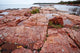 Pink Granite Jacket